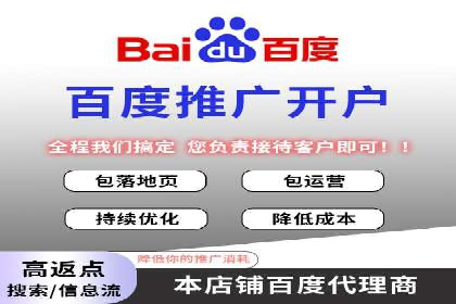 百度SEO推广公司案例精选：揭秘优化策略